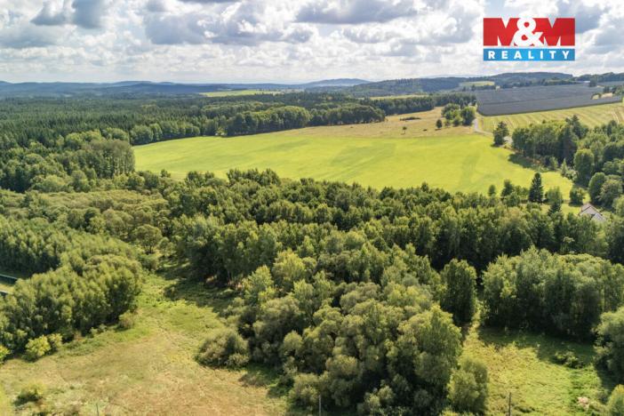 Prodej komerčního pozemku, Přimda - Mlýnec, 238031 m2