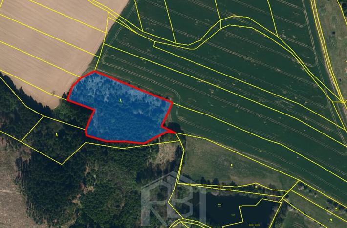 Prodej lesa, Žirovnice, 9999 m2