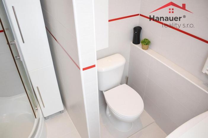 Pronájem bytu 2+kk, Teplice - Trnovany, Jana Koziny, 42 m2