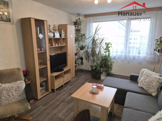 Pronájem bytu 2+kk, Teplice - Trnovany, Jana Koziny, 42 m2