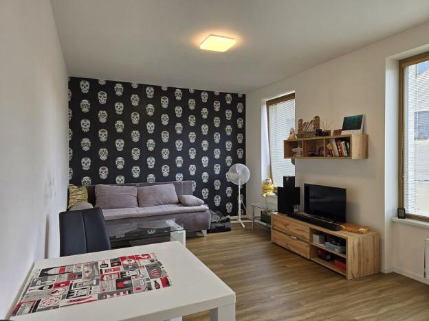 Pronájem bytu 1+kk, Plzeň, Pallova, 31 m2