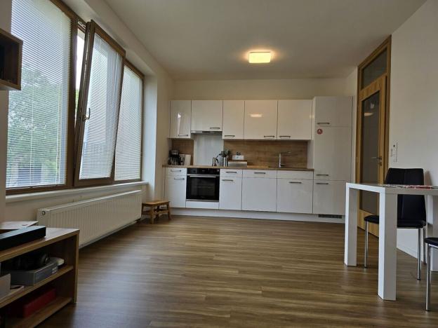 Pronájem bytu 1+kk, Plzeň, Pallova, 31 m2