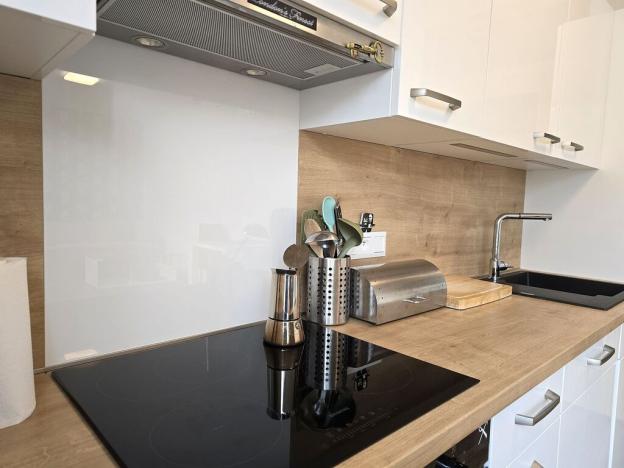 Pronájem bytu 1+kk, Plzeň, Pallova, 31 m2