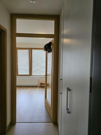 Pronájem bytu 1+kk, Plzeň, Pallova, 31 m2