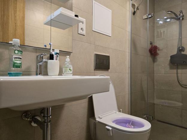 Pronájem bytu 1+kk, Plzeň, Pallova, 31 m2