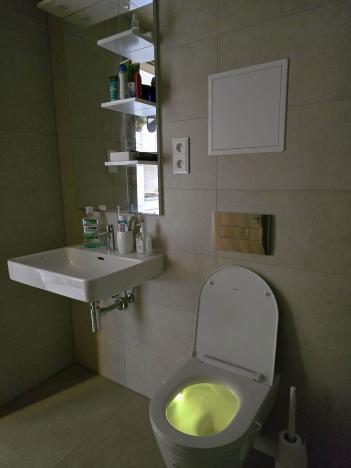 Pronájem bytu 1+kk, Plzeň, Pallova, 31 m2