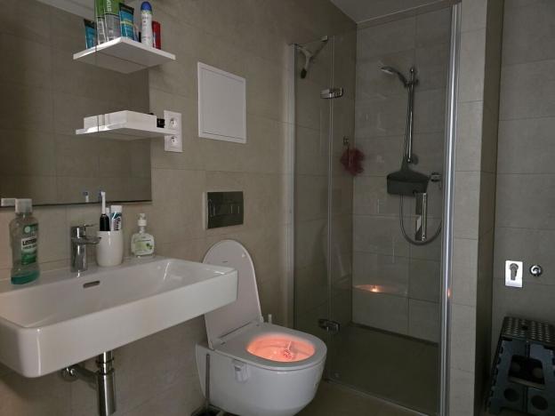 Pronájem bytu 1+kk, Plzeň, Pallova, 31 m2