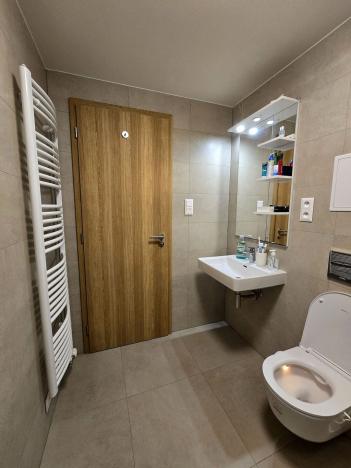 Pronájem bytu 1+kk, Plzeň, Pallova, 31 m2