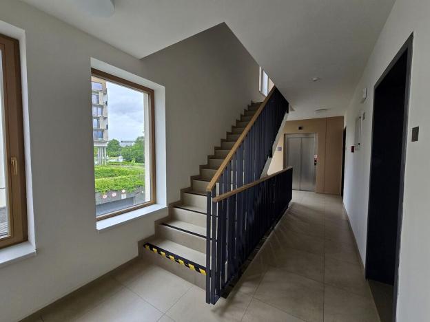 Pronájem bytu 1+kk, Plzeň, Pallova, 31 m2