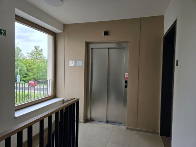 Pronájem bytu 1+kk, Plzeň, Pallova, 31 m2