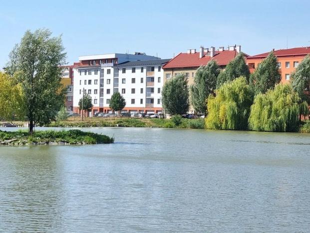 Prodej bytu 1+kk, Hranice, Jiřího z Poděbrad, 34 m2