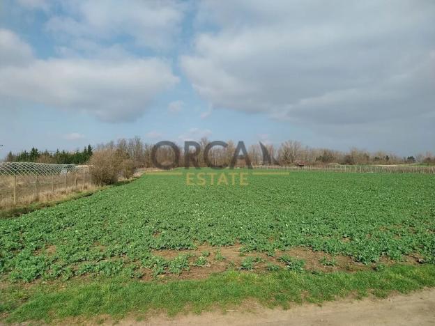 Prodej pole, Vranovice, 1596 m2