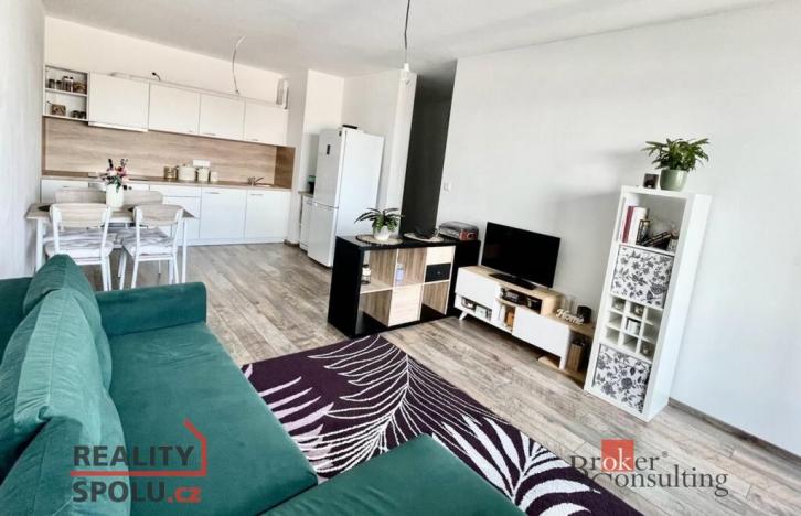 Prodej bytu 2+kk, Plzeň - Východní Předměstí, Sladová, 55 m2