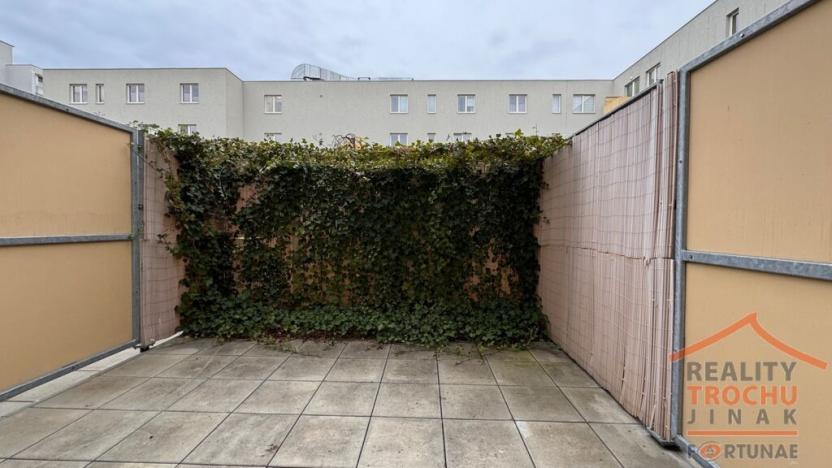 Pronájem bytu 1+kk, Hradec Králové, Jana Masaryka, 31 m2