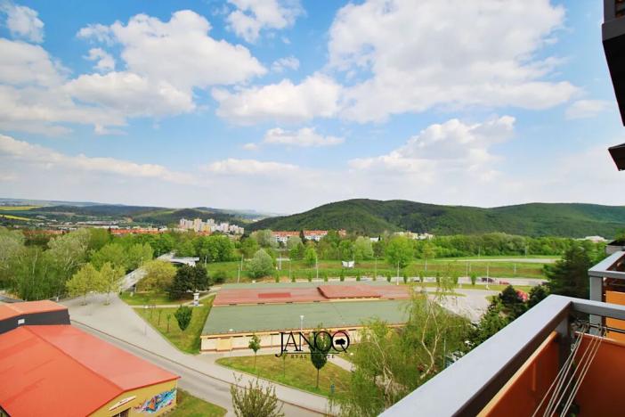 Pronájem bytu 1+1, Brno, Kubíčkova, 30 m2