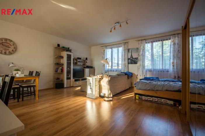 Pronájem bytu 1+kk, Hradec Králové - Nový Hradec Králové, Mrštíkova, 55 m2