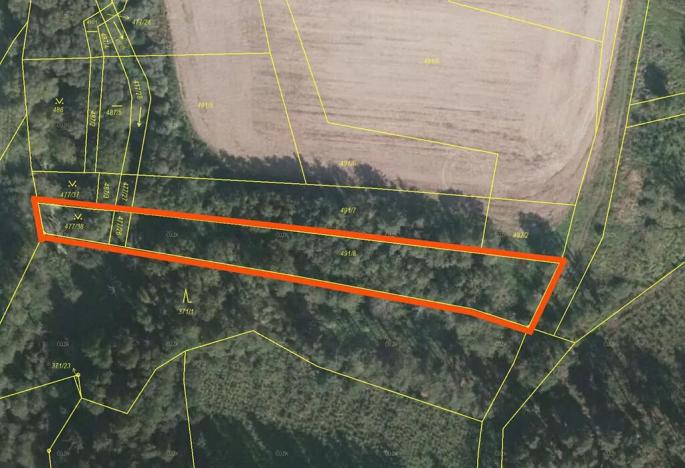 Prodej lesa, Jistebnice, 2234 m2