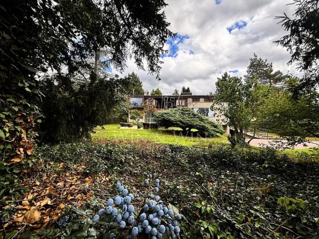 Prodej rodinného domu, Vrané nad Vltavou, Březovská, 477 m2