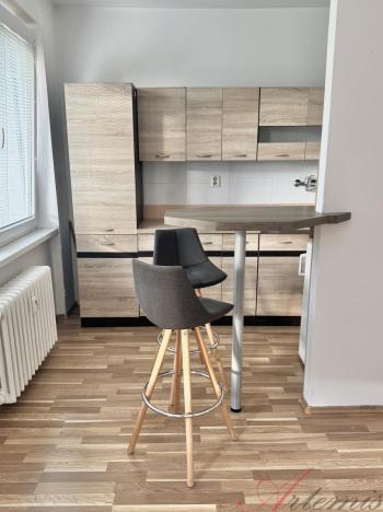 Prodej bytu 1+kk, Ostrava - Polanka nad Odrou, Heleny Salichové, 27 m2