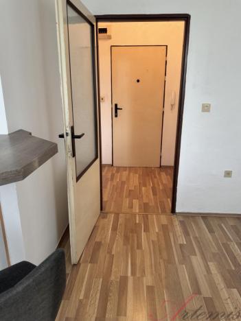 Prodej bytu 1+kk, Ostrava - Polanka nad Odrou, Heleny Salichové, 27 m2