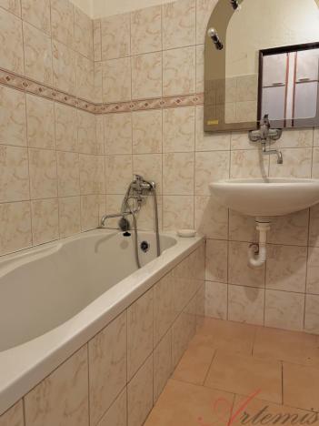 Prodej bytu 1+kk, Ostrava - Polanka nad Odrou, Heleny Salichové, 27 m2