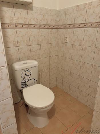 Prodej bytu 1+kk, Ostrava - Polanka nad Odrou, Heleny Salichové, 27 m2