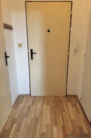 Prodej bytu 1+kk, Ostrava - Polanka nad Odrou, Heleny Salichové, 27 m2