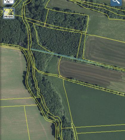 Prodej lesa, Lánov - Horní Lánov, 15996 m2