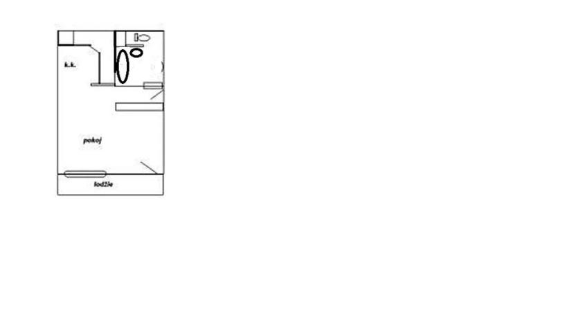 Pronájem bytu 1+kk, Teplice, Petra Jilemnického, 30 m2