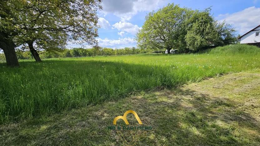 Prodej komerční nemovitosti, Doubravička, 195 m2