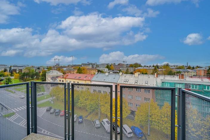 Pronájem bytu 1+kk, Olomouc, Edmunda Husserla, 29 m2