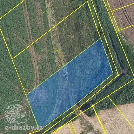 Dražba pole, Libníkovice, 11414 m2