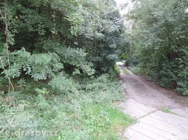 Dražba lesa, Kladno, 2465 m2