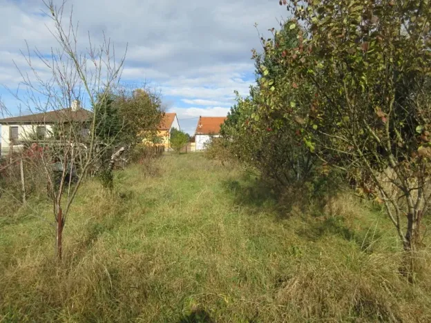 Prodej pozemku pro bydlení, Skály, 1000 m2