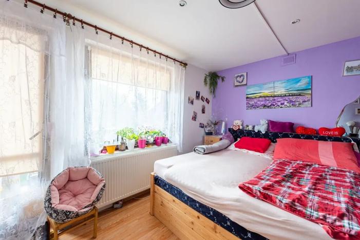 Prodej vícegeneračního domu, Nová Ves, 200 m2