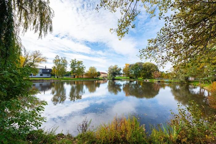 Prodej vícegeneračního domu, Nová Ves, 200 m2