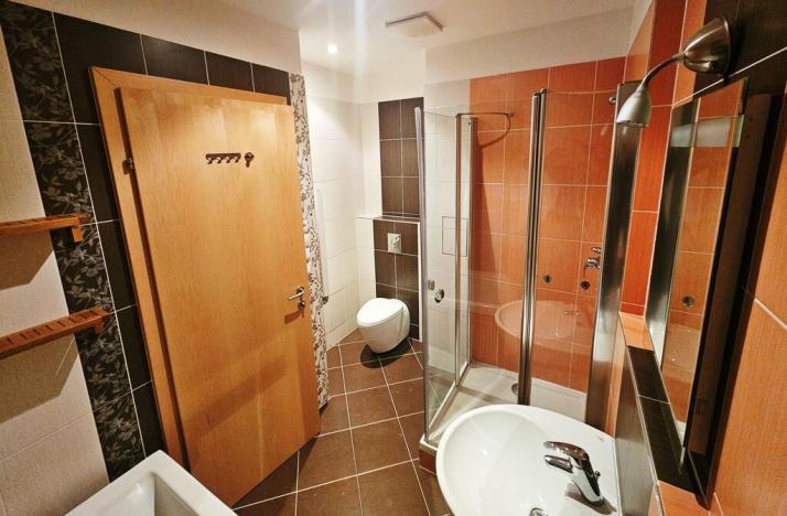 Pronájem bytu 2+kk, Praha - Holešovice, Jankovcova, 70 m2