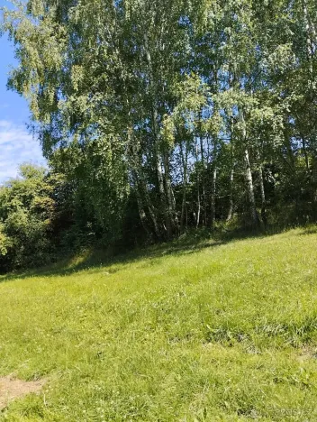 Prodej louky, Babice, 45608 m2
