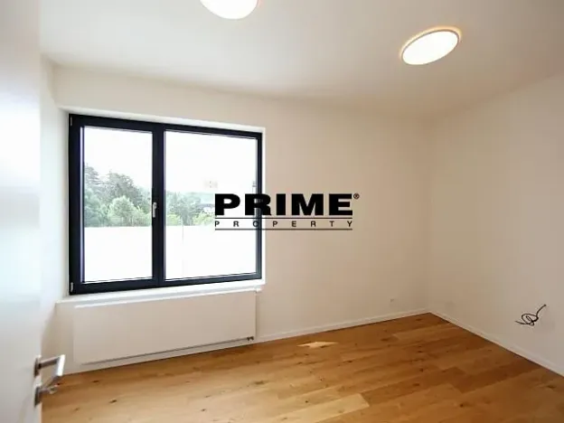 Pronájem rodinného domu, Praha - Řepy, U Lesoparku, 408 m2