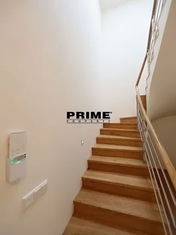 Pronájem rodinného domu, Praha - Řepy, U Lesoparku, 408 m2