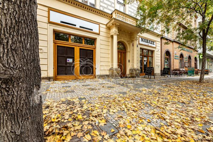 Pronájem bytu 2+kk, Praha - Karlín, Křižíkova, 49 m2