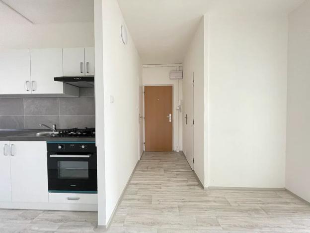 Pronájem bytu 4+1, Litvínov, Mládežnická, 84 m2