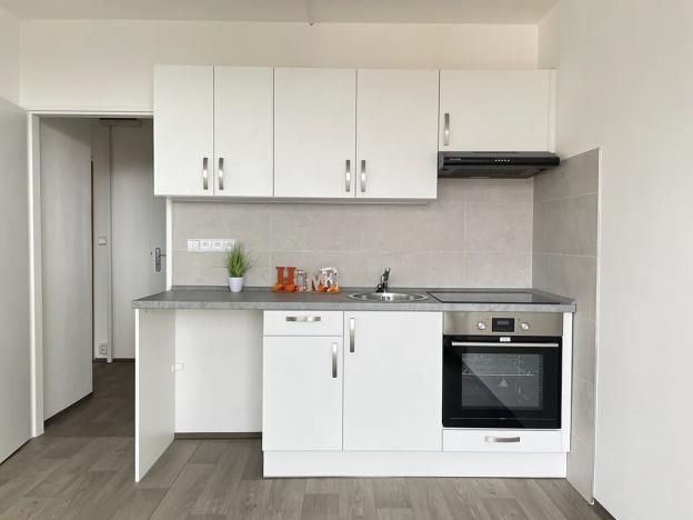 Pronájem bytu 1+1, Litvínov, Valdštejnská, 37 m2