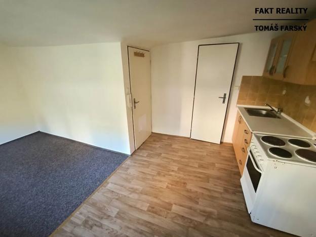 Pronájem bytu 1+kk, Děčín, Teplická, 19 m2