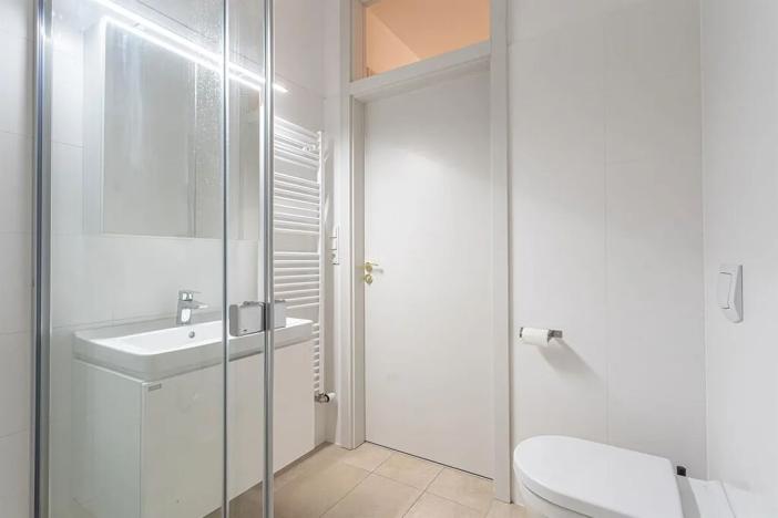 Pronájem bytu 3+kk, Praha - Vinohrady, Balbínova, 129 m2