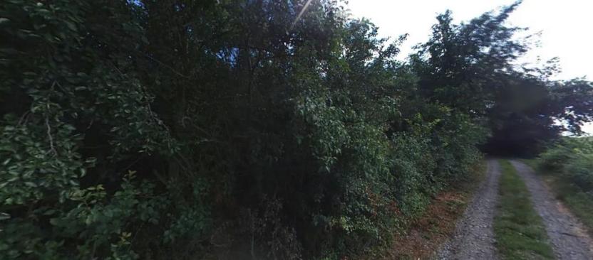 Pronájem zahrady, Dolní Kounice, 2459 m2