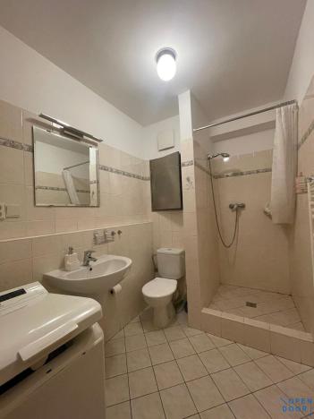 Pronájem bytu 1+kk, Praha - Hostivař, Švehlova, 30 m2