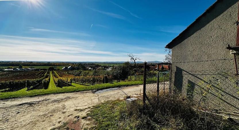 Prodej vinného sklepa, Velké Bílovice, 100 m2