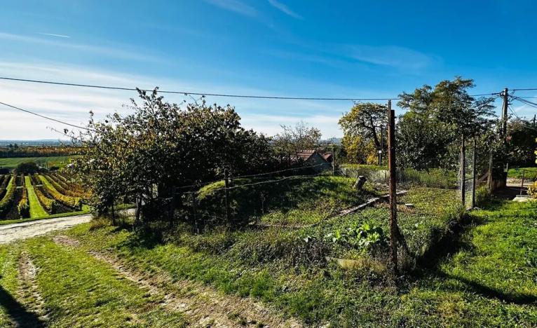 Prodej vinného sklepa, Velké Bílovice, 100 m2