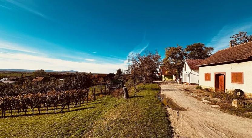 Prodej vinného sklepa, Velké Bílovice, 100 m2